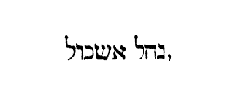 [Hebrew text]