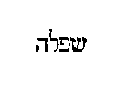 [Hebrew Text]