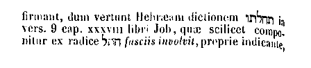 [Hebrew Text]