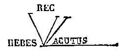 [Figura]