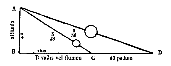 [Figura]