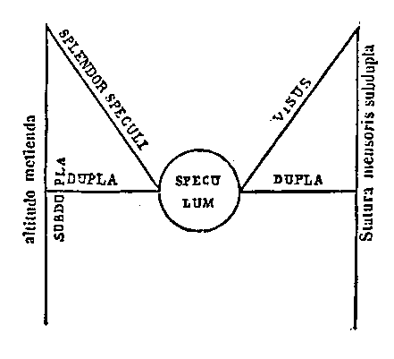 [Figura]