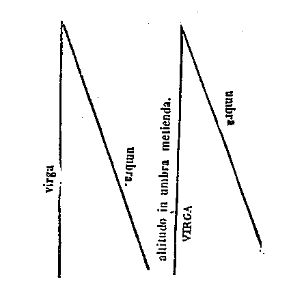 [Figura]