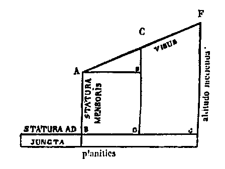 [Figura]