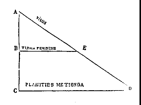 [Figura]