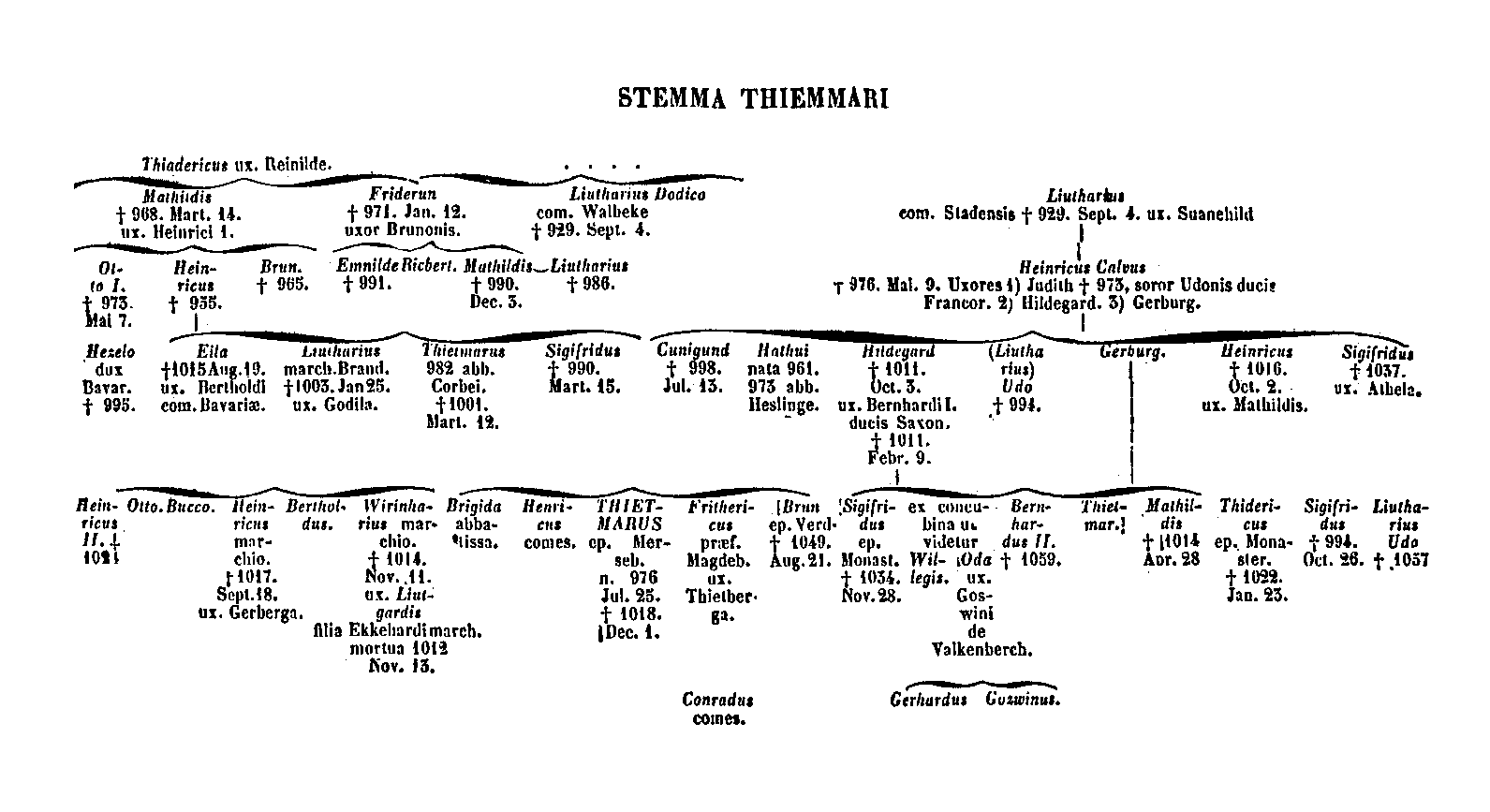 [Stemma Thiemmari]