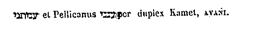 [Hebrew Text