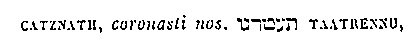 [Hebrew Text]