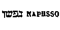 [Hebrew Text]