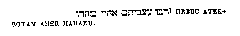 [Hebrew Text]