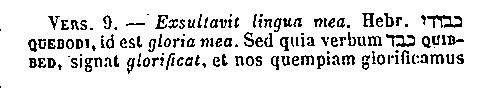 [Hebrew Text]