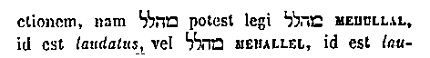 [Hebrew Text]