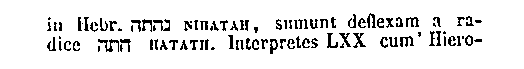 [Hebrew Text]