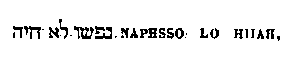 [Hebrew Text]