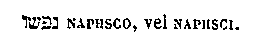 [Hebrew Text]