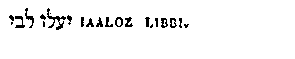 [Hebrew Text]