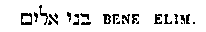 [Hebrew Text]