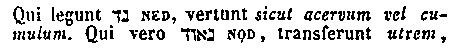 [Hebrew Text]