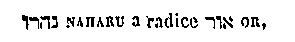 [Hebrew Text]