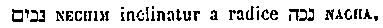 [Hebrew Text]