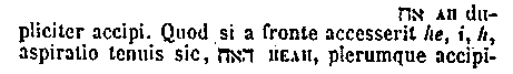 [Hebrew Text]