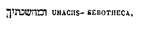 [Hebrew Text]