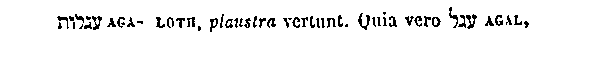 [Hebrew Text]