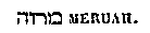 [Hebrew Text]