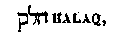 [Hebrew Text]
