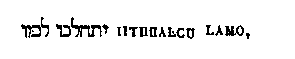 [Hebrew Text]