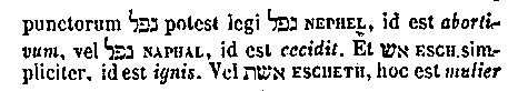 [Hebrew Text]