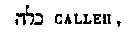 [Hebrew Text]