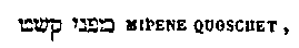 [Hebrew Text]