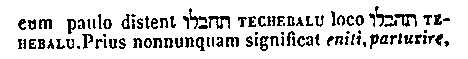 [Hebrew Text]
