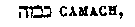 [Hebrew Text]