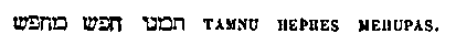 [Hebrew Text]