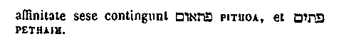 [Hebrew Text]