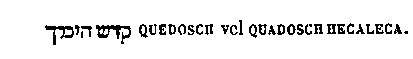 [Hebrew Text]