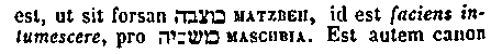 [Hebrew Text]