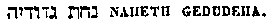 [Hebrew Text]