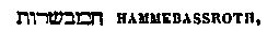 [Hebrew Text]