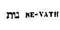 [Hebrew Text]
