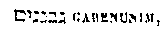 [Hebrew Text]