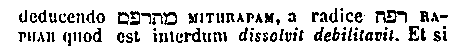 [Hebrew Text]