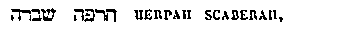 [Hebrew Text]