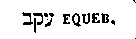 [Hebrew Text]