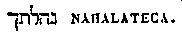 [Hebrew Text]