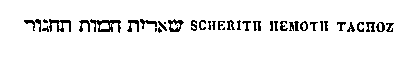 [Hebrew Text]