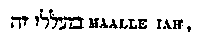 [Hebrew Text]