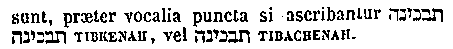 [Hebrew Text]